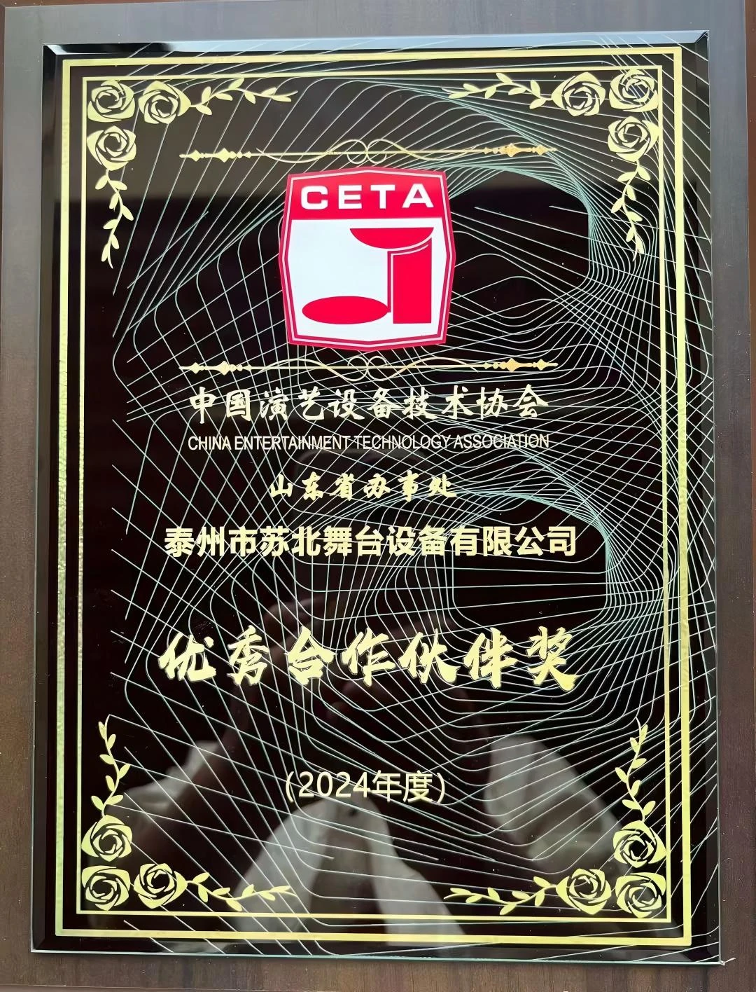 优秀合作伙伴奖 · 2024 年度